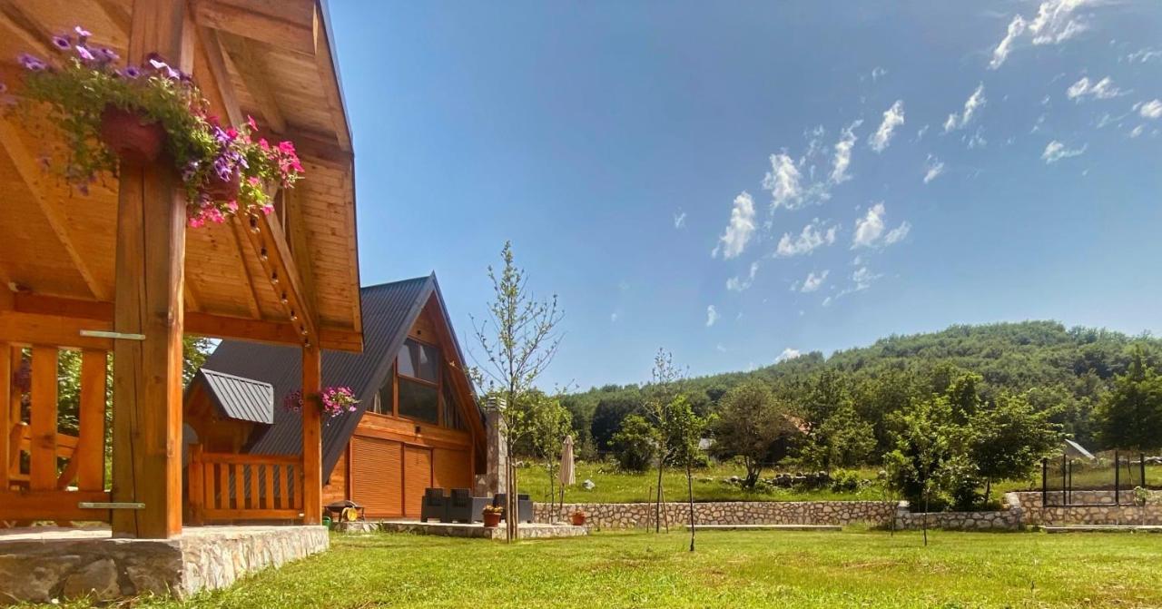Albero Casa Villa Cetinje Ngoại thất bức ảnh