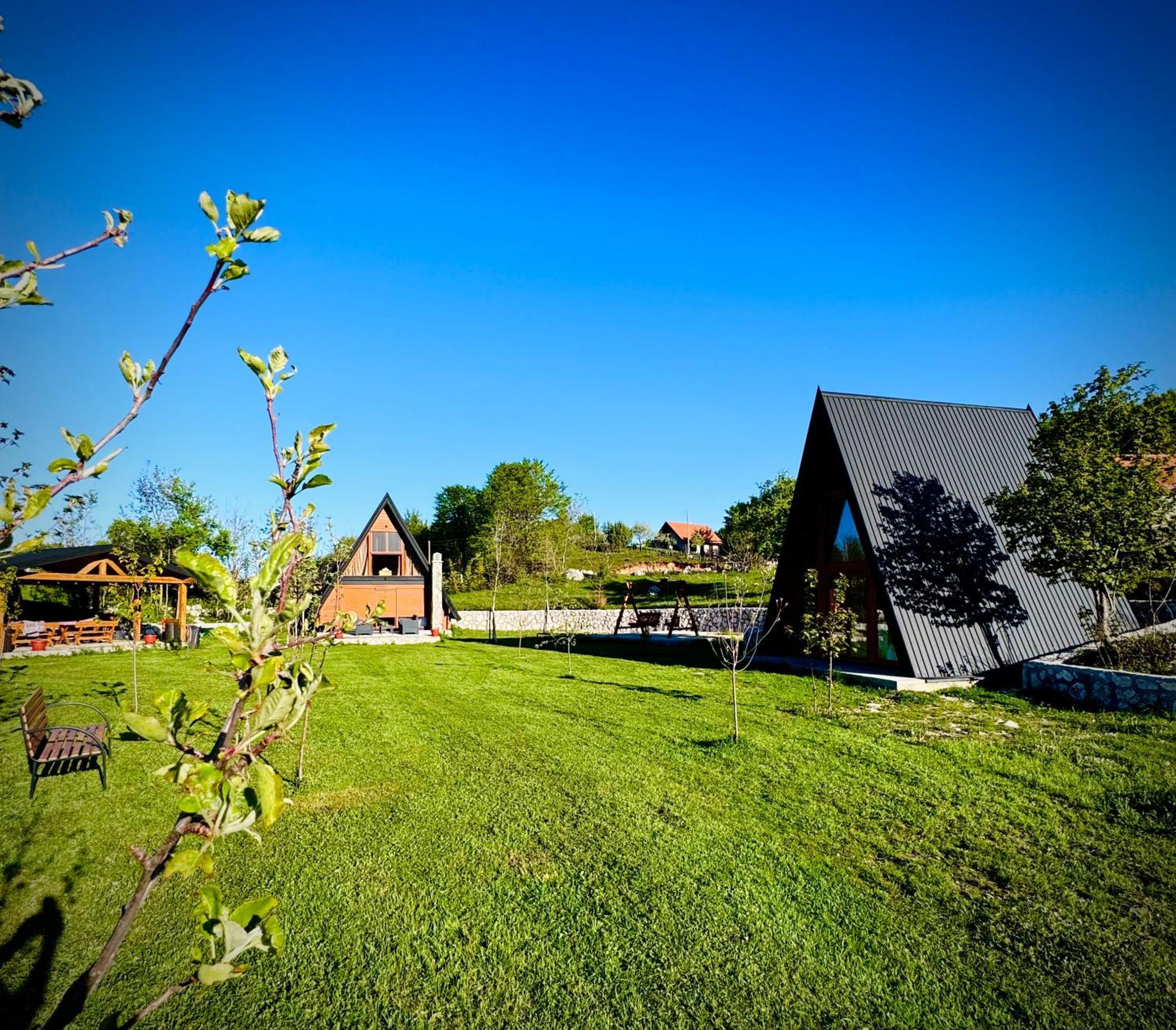 Albero Casa Villa Cetinje Ngoại thất bức ảnh