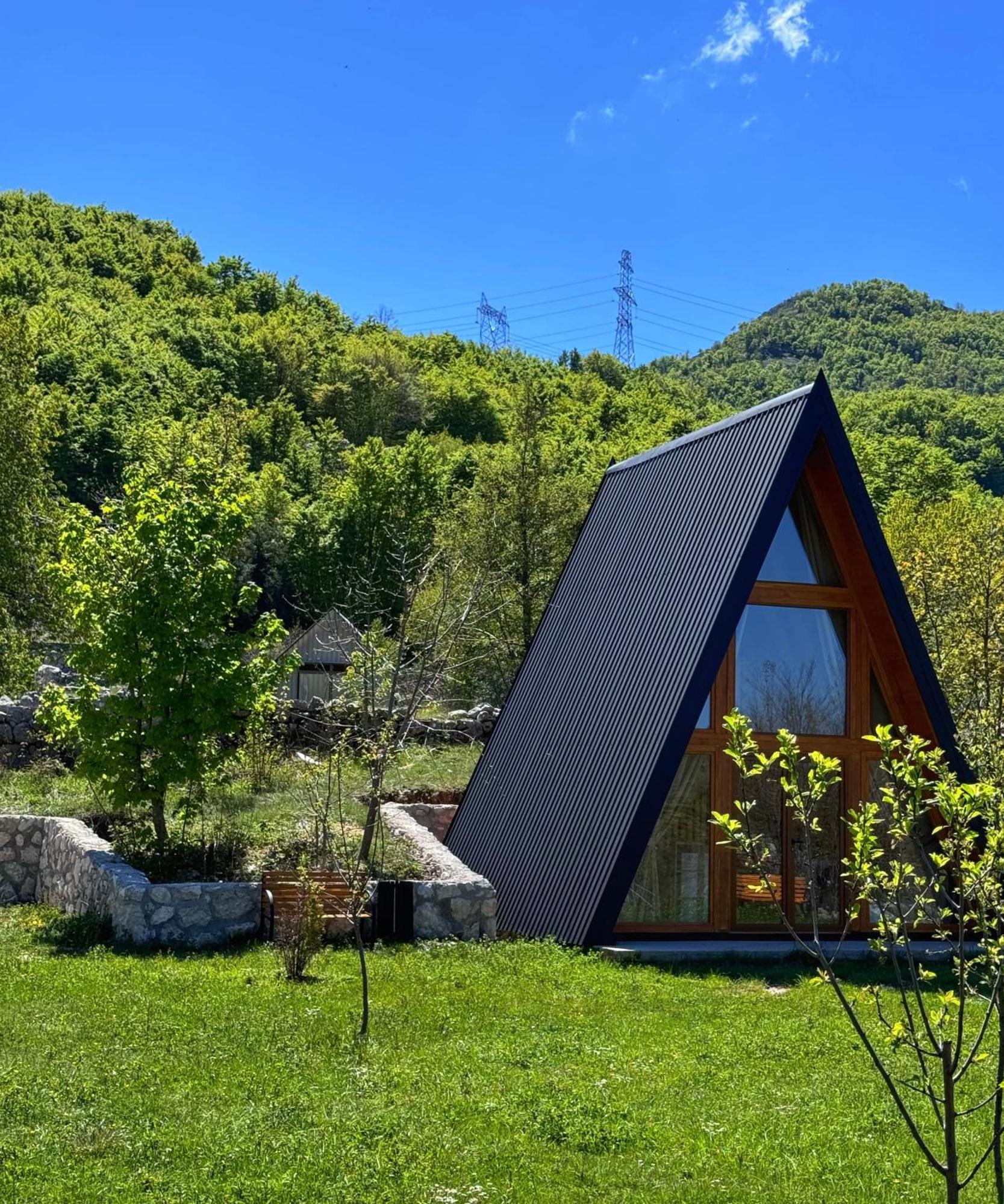 Albero Casa Villa Cetinje Ngoại thất bức ảnh