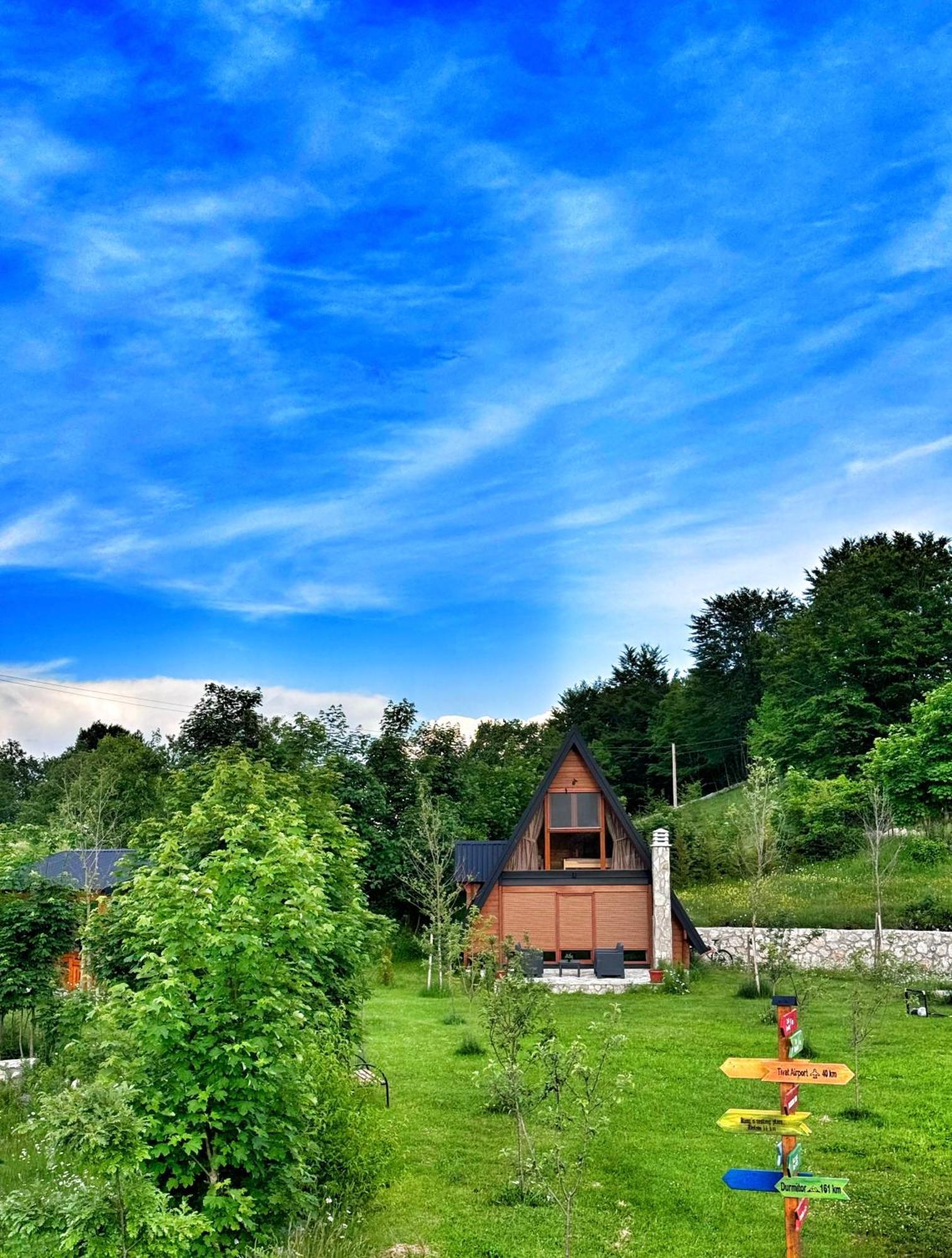 Albero Casa Villa Cetinje Ngoại thất bức ảnh