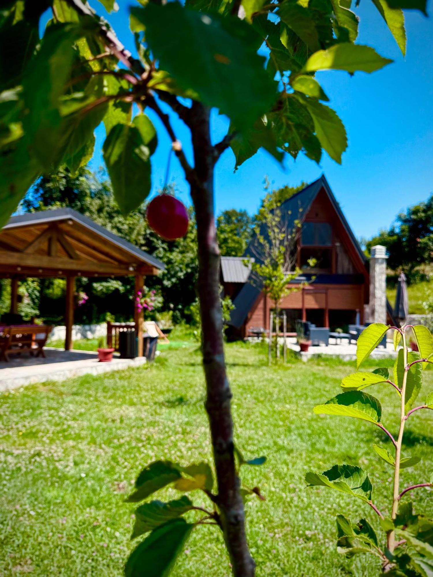 Albero Casa Villa Cetinje Ngoại thất bức ảnh