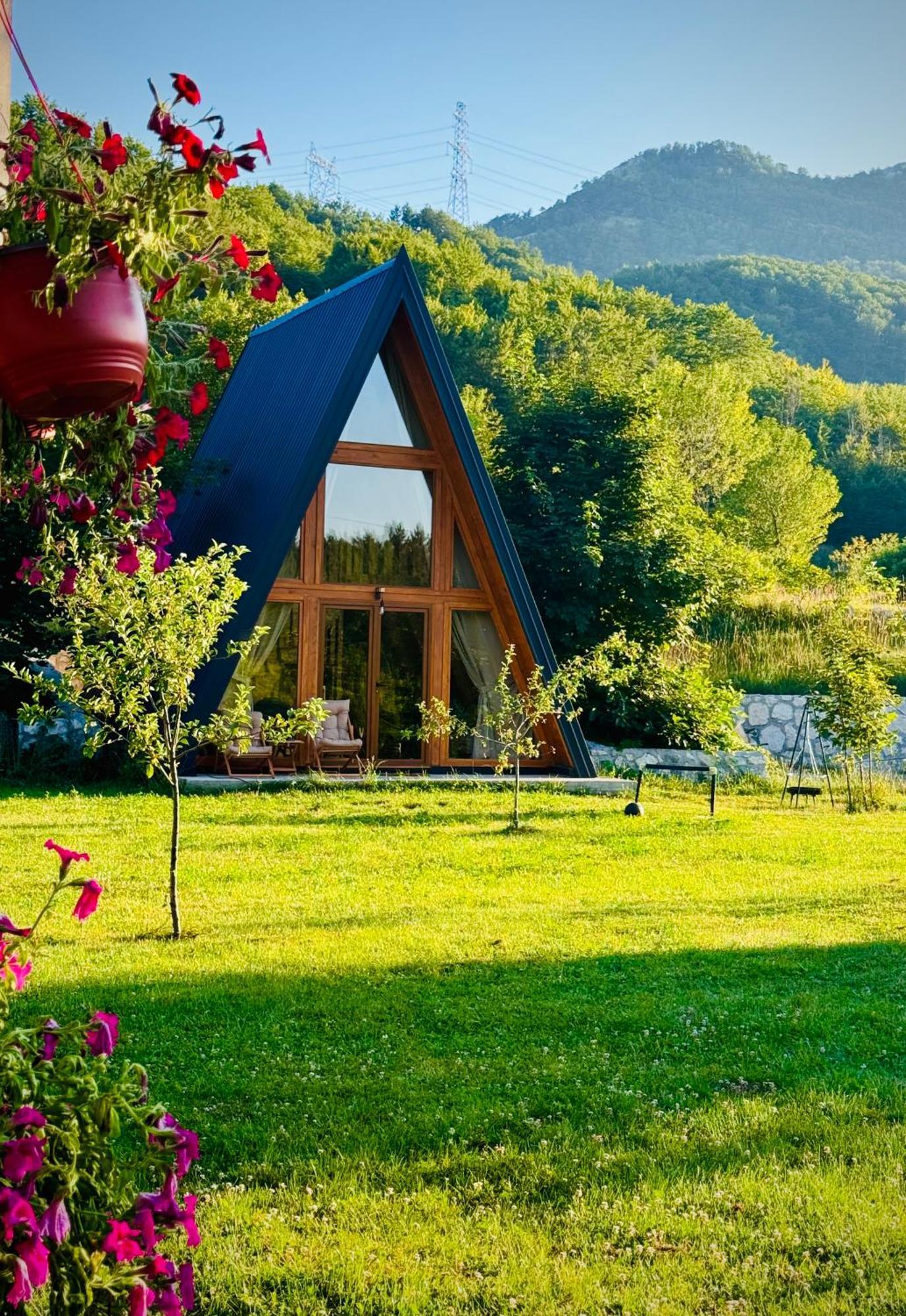 Albero Casa Villa Cetinje Ngoại thất bức ảnh