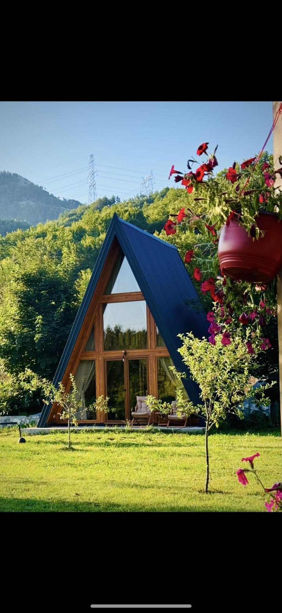 Albero Casa Villa Cetinje Ngoại thất bức ảnh